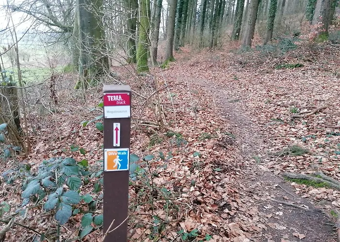 Ferienwohnung Waldblick